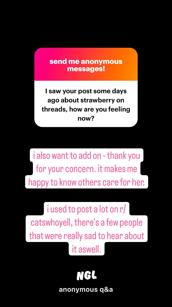 mirekyarahire instagram image archive image
