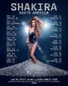 shakira Altpins Profile Picture