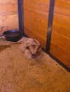 0nlygrlinthewrld Altpins Profile Picture