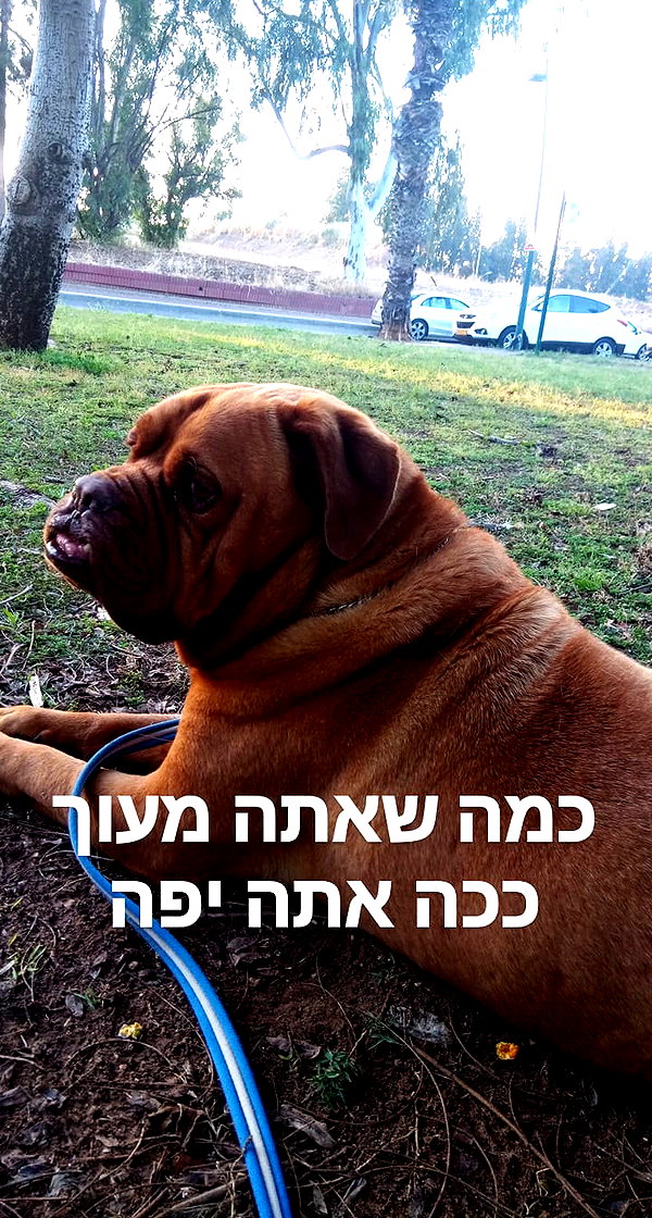 Archived image from @elaysolomon on Instagram