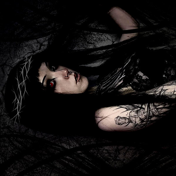 cerianex instagram image archive image