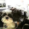ashleybenson Altpins Profile Picture