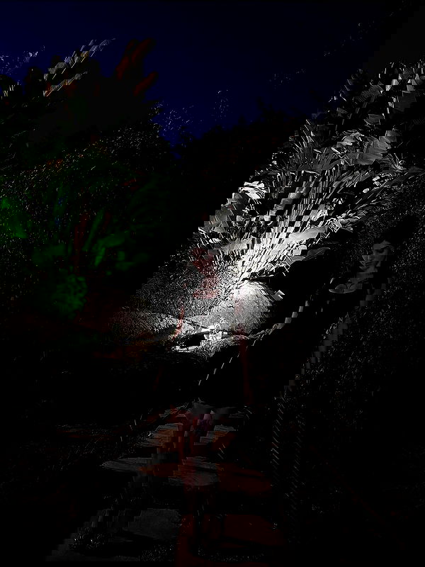 noa_marii noa_marii archive image