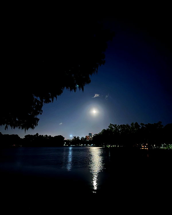 solzarubin_ instagram image archive image