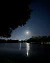 solzarubin_ Altpins Profile Picture