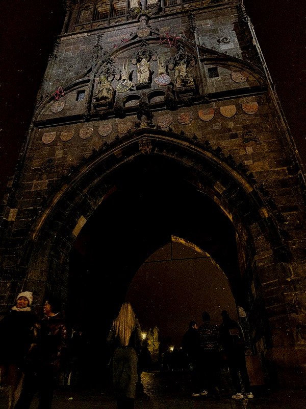 nikolpeleg instagram image archive image