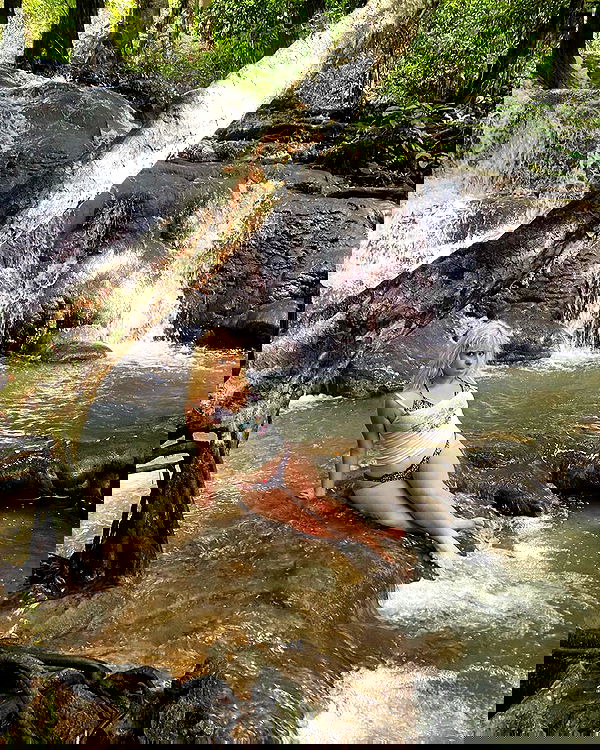 ormosheee ormosheee archive image