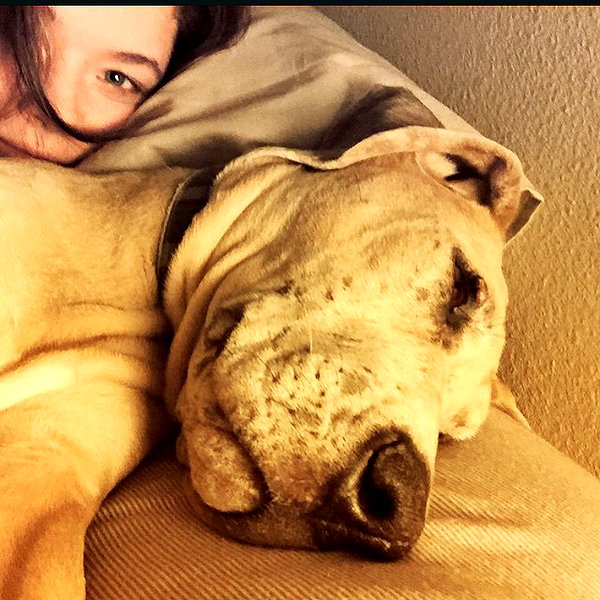sashapieterse instagram image archive image