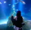 dante_yangpa Altpins Profile Picture