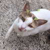 evasela__ Altpins Profile Picture