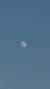 annabottoo Altpins Profile Picture
