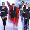 xtina Altpins Profile Picture