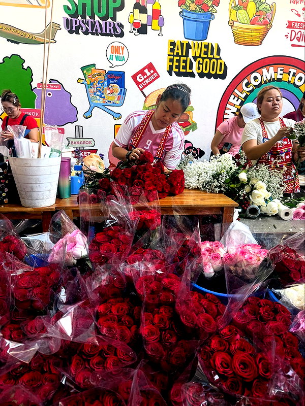 kesemgreenyer instagram image archive image