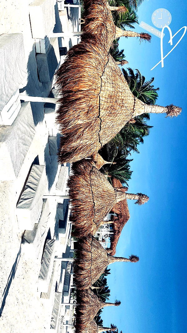 barzomer instagram image archive image