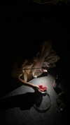 veroni22ka Altpins Profile Picture