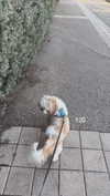 _._dianush._ Altpins Profile Picture