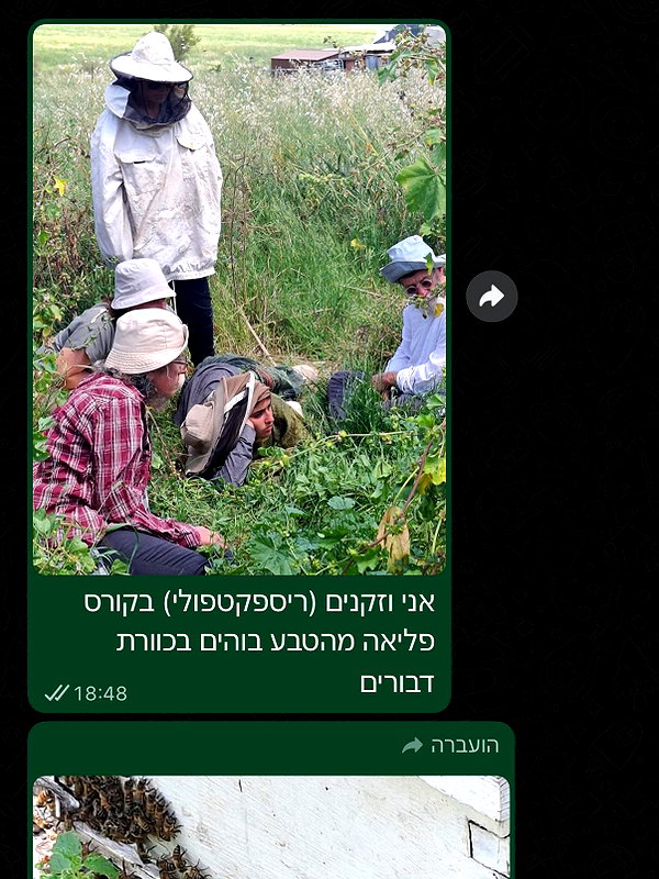 yuval_raz instagram image archive image