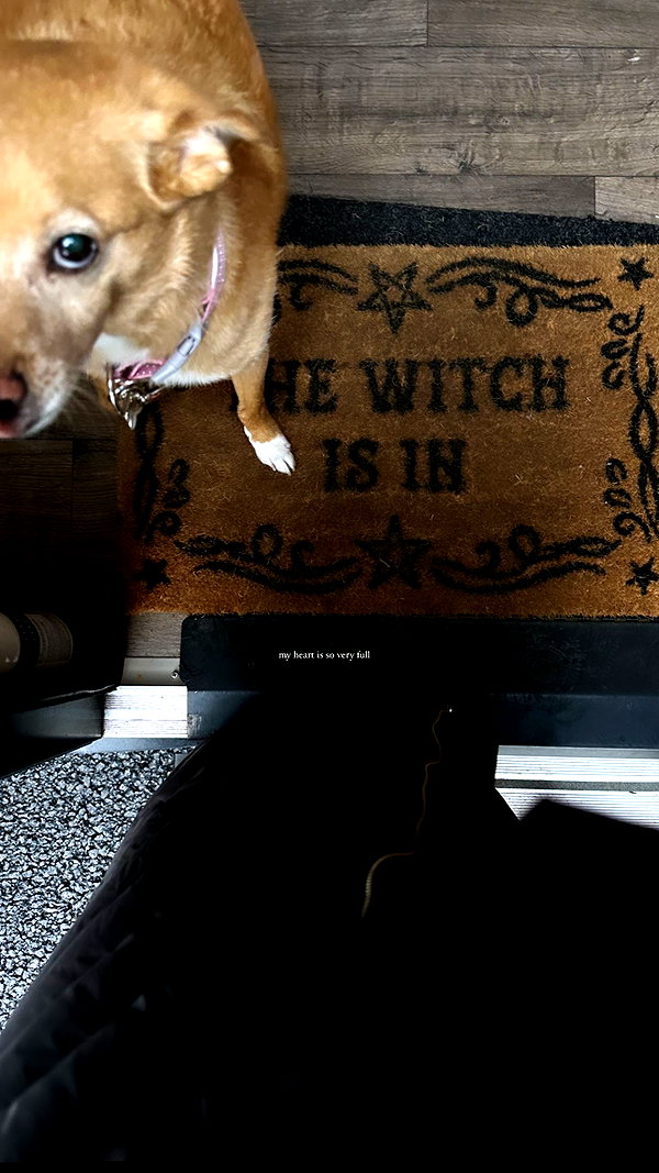 arianagrande instagram image archive image