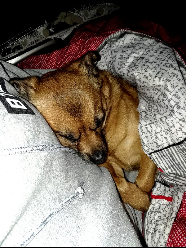 _animechika_ instagram image archive image