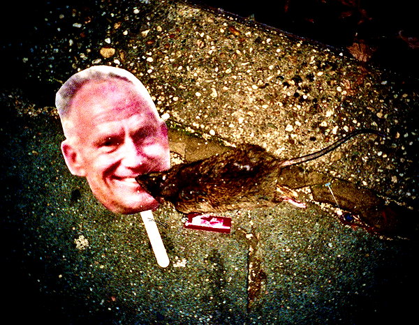 bugz4brainz instagram image archive image