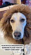 gabbyepstein Altpins Profile Picture