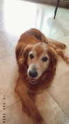 analuvillarreal Altpins Profile Picture