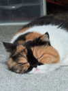 mewisa Altpins Profile Picture