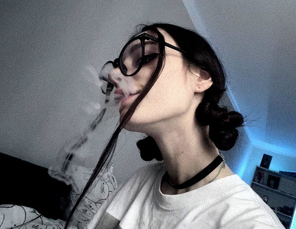 amanitalis instagram image archive image