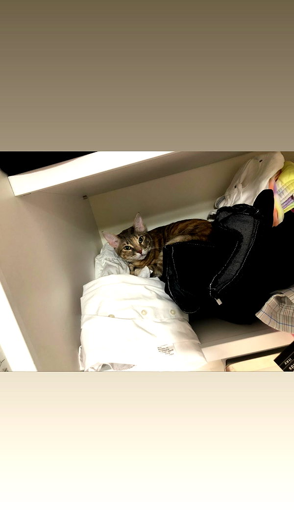 Archived image from @notchicore on Instagram