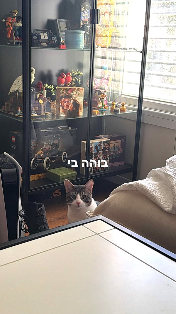 Archived image from @notchicore on Instagram
