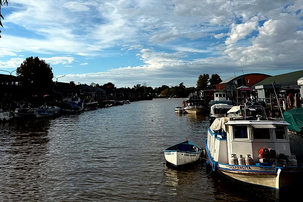 solzarubin_ instagram image archive image