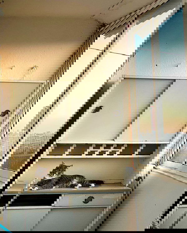 kkulakovaa image ~ Altpins