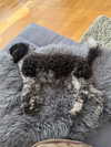 bymonamarie Altpins Profile Picture