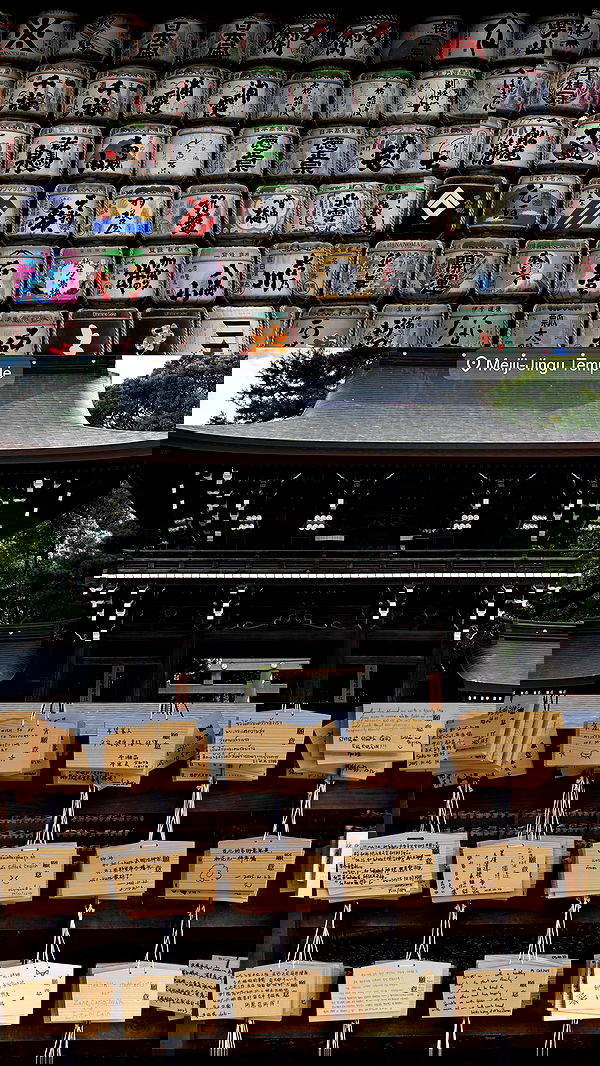 taylor.creeden taylor.creeden archive image