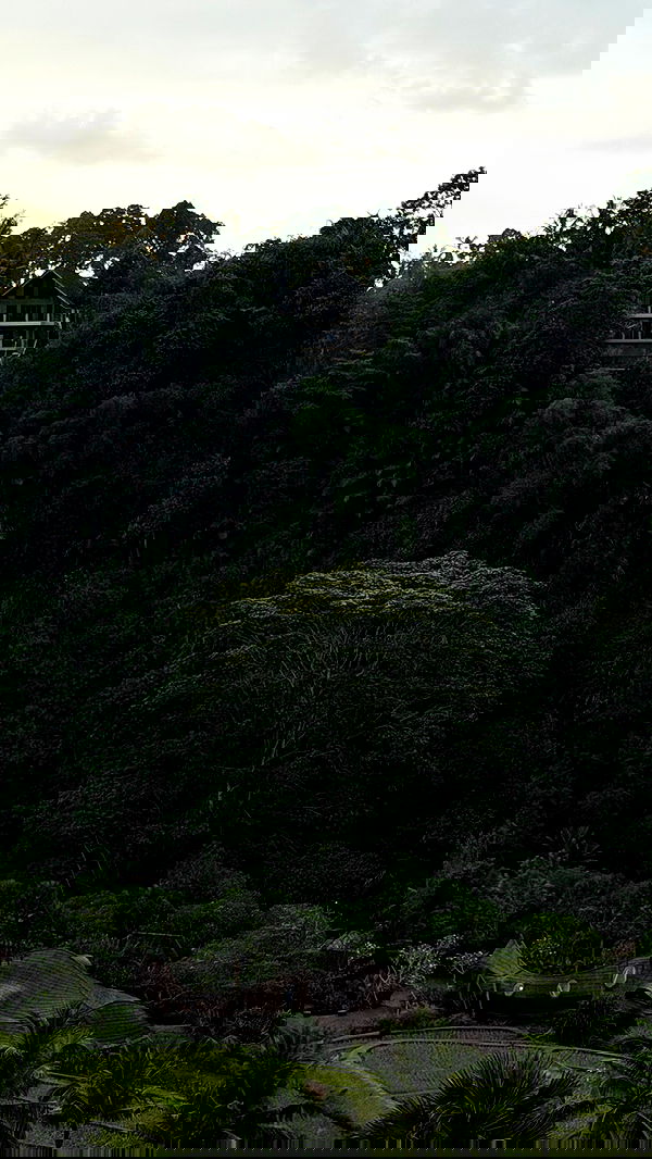 taylor.creeden taylor.creeden archive image