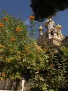 _femalien Altpins Profile Picture
