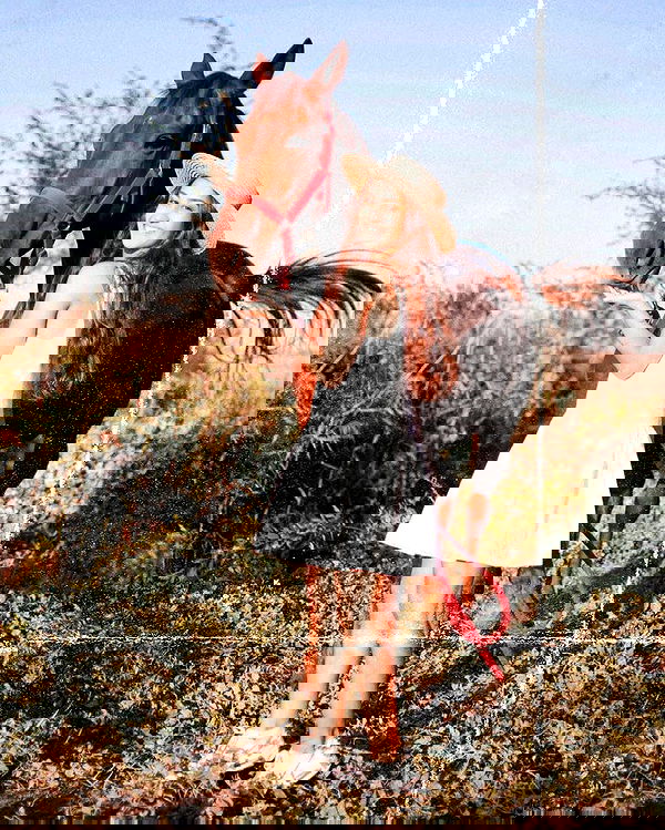 kkulakovaa image ~ Altpins