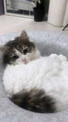 yuna_1_27 Altpins Profile Picture