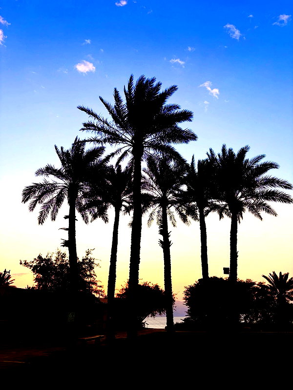 eliabzs instagram image archive image