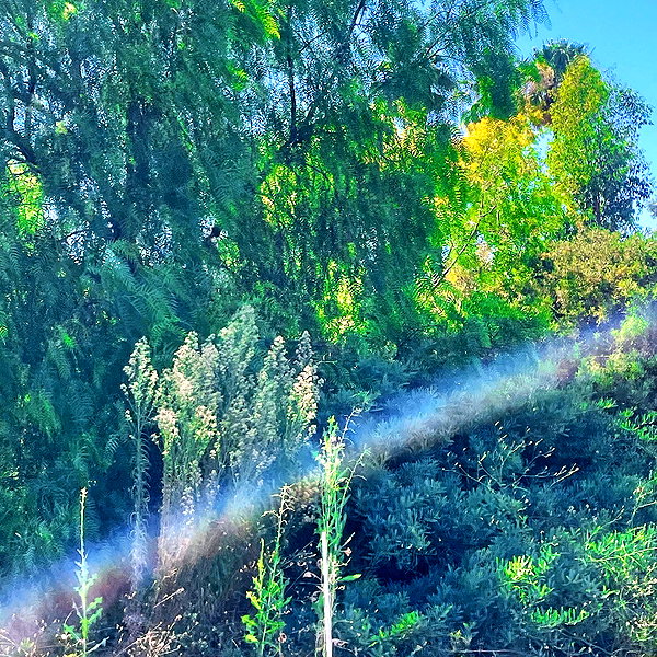 haileylayfield instagram image archive image