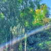 haileylayfield Altpins Profile Picture