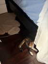 kayyybear_xo Altpins Profile Picture