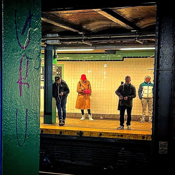bugz4brainz instagram image archive image