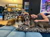 mileycyrus Altpins Profile Picture