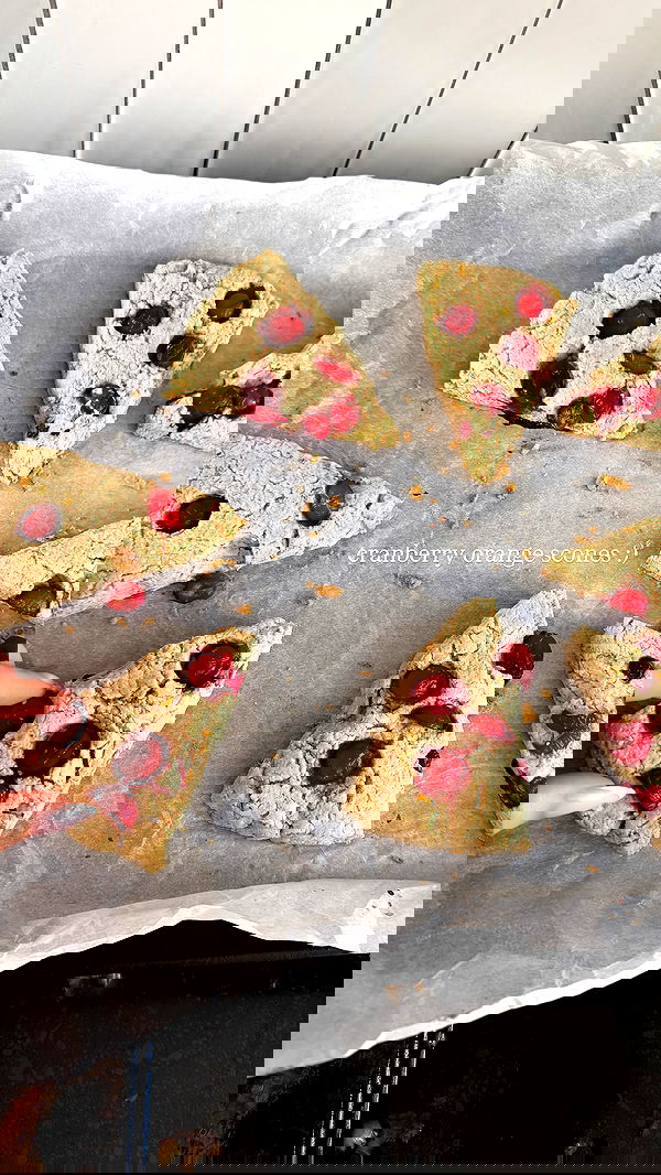 carolinezalog carolinezalog archive image