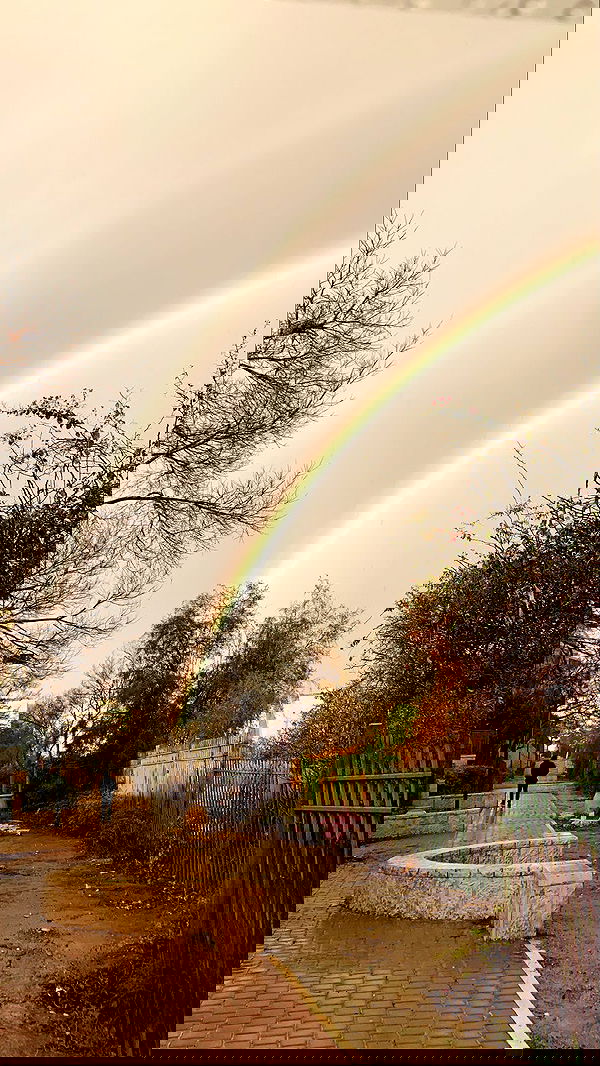 edentziru edentziru archive image