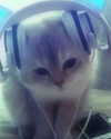 rachelchaleff Altpins Profile Picture
