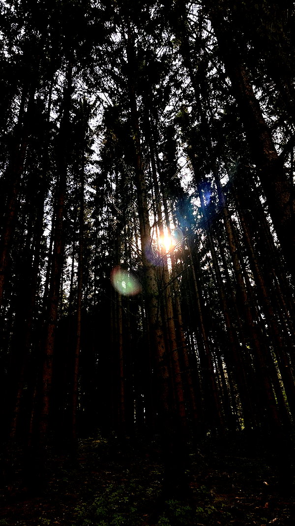 drowsylio instagram image archive image