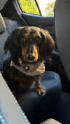 ruth_chavarri Altpins Profile Picture