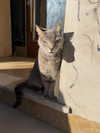 berraclkn Altpins Profile Picture